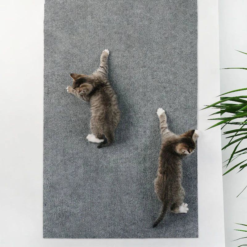 Alfombra Rascadora Autoadhesiva para Gatos — Protege tu Sofá, 8 Colores