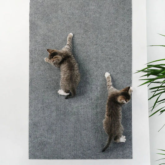 Alfombra Rascadora Autoadhesiva para Gatos — Protege tu Sofá, 8 Colores